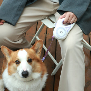 Retractable Leash & Collar Set